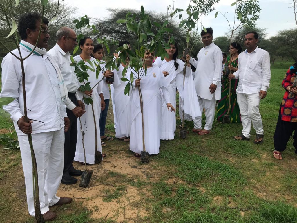 विश्व प्रकृति संरक्षण  दिवस पर सीकर ज़िले में १५१ पोधे लगायें सीकर 